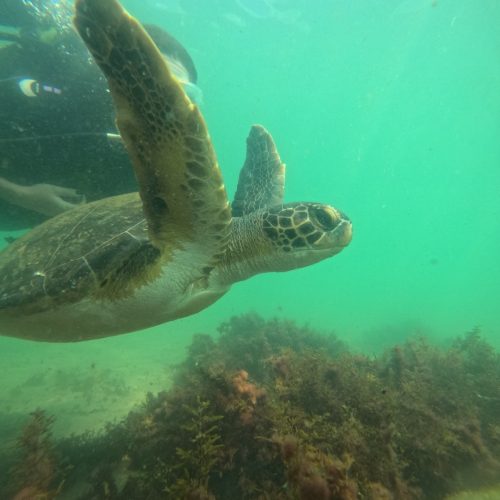 DCIM100GOPROGOPR7947.JPG DCIM100GOPROGOPR7947.JPG