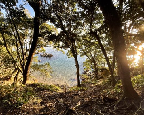 Passeio Buggy Sepultura Bombinhas 2