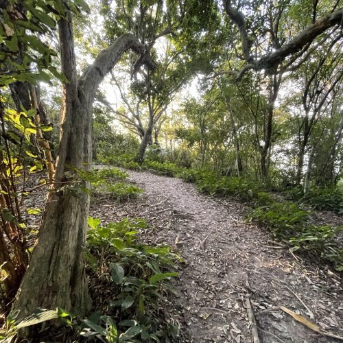 Passeio Buggy Sepultura Bombinhas 9